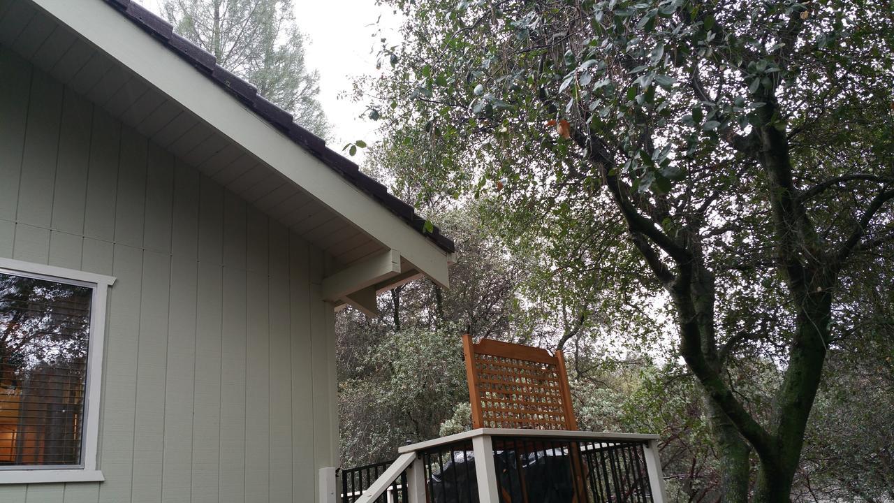 Lovely Mountain Lake Chalet by Yosemite: Equipped! Groveland Extérieur photo